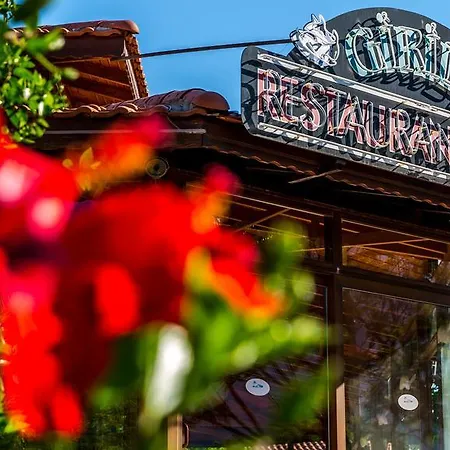 Palmetto Selimiye (Aegean)