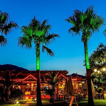 Palmetto Selimiye (Aegean)