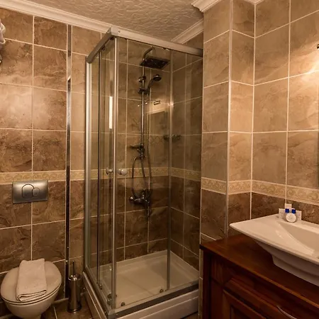 Palmetto Selimiye (Aegean)