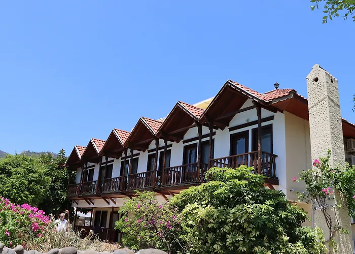 Palmetto Selimiye (Aegean)