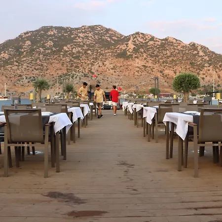 Palmetto Ξενοδοχείο Σελιμιγιέ