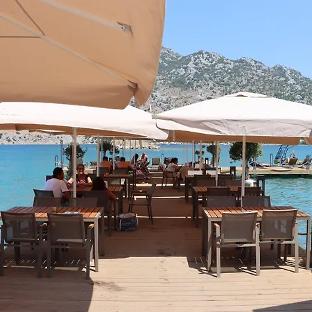 Palmetto 2* Σελιμιγιέ