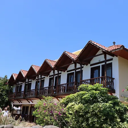 Palmetto Selimiye (Aegean)