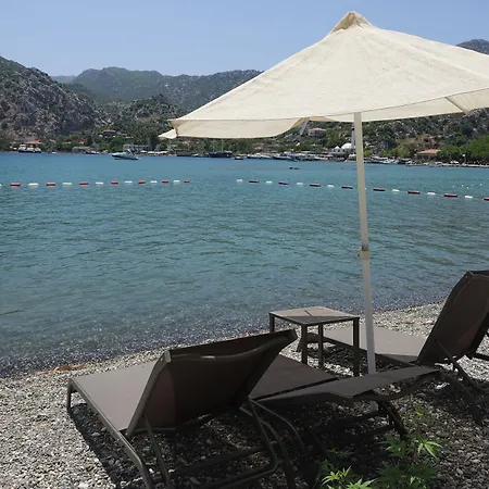 Ξενοδοχείο Palmetto