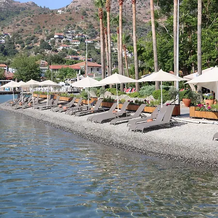 Palmetto Ξενοδοχείο 2*