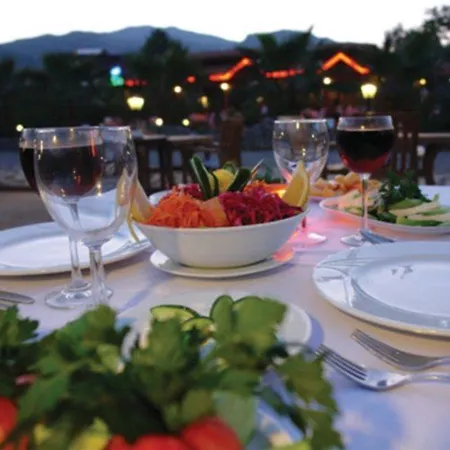 Hotel Palmetto Selimiye (Aegean)