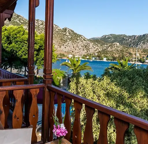 Palmetto Σελιμιγιέ