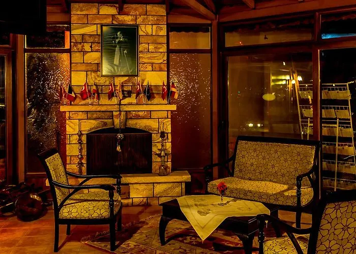 Palmetto 2* Selimiye