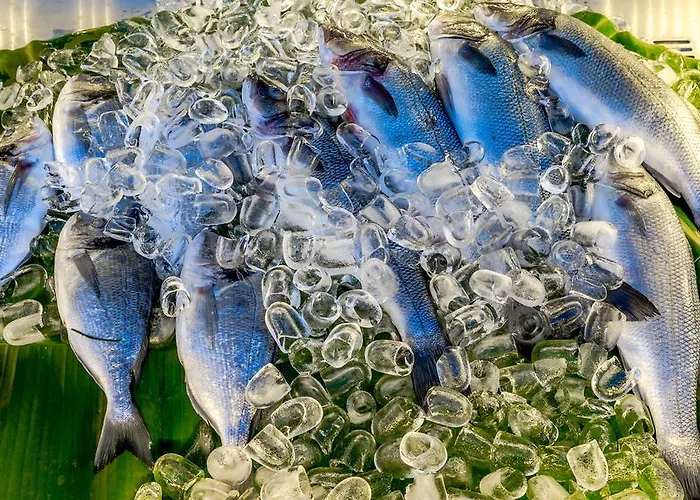 Szálloda Palmetto 2*