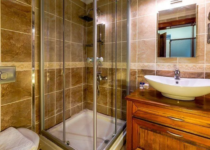 Palmetto Σελιμιγιέ