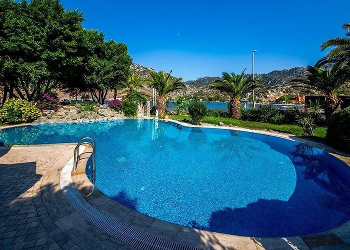 Palmetto 塞利米耶