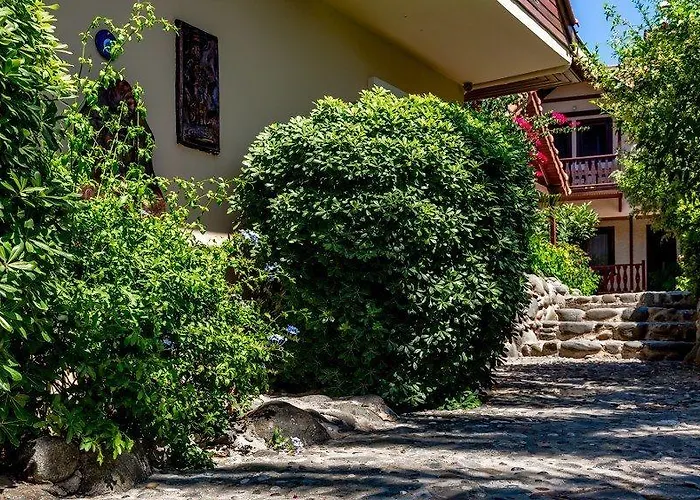 Palmetto Ξενοδοχείο 2*