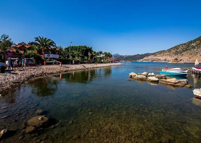 Palmetto Ξενοδοχείο