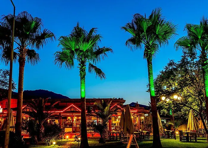 Palmetto Σελιμιγιέ