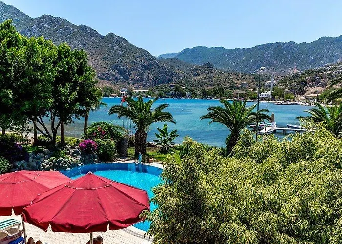 Palmetto Σελιμιγιέ