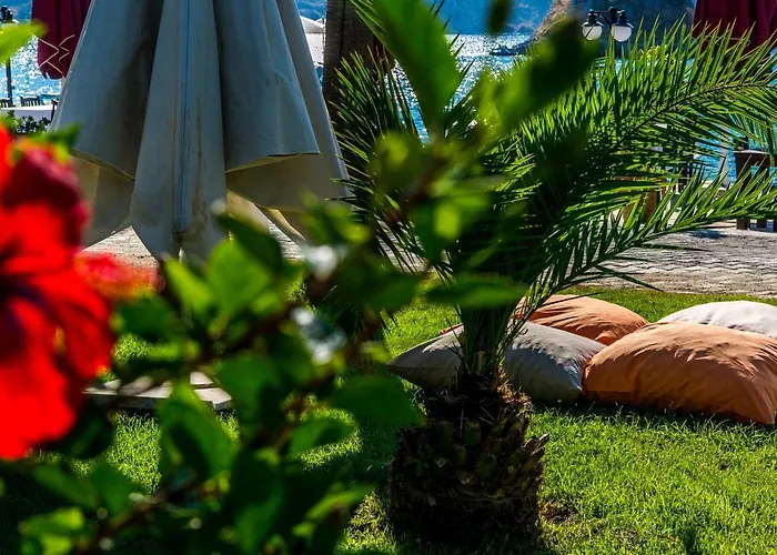 Palmetto Ξενοδοχείο