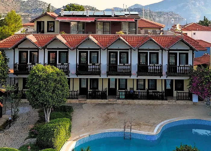 Palmetto Σελιμιγιέ