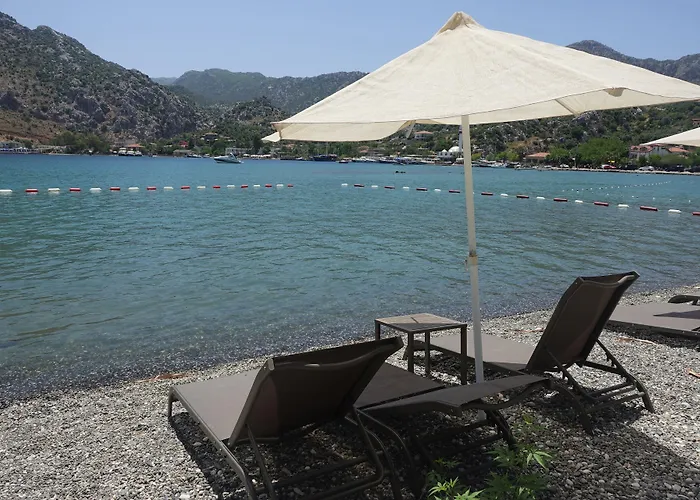 Ξενοδοχείο Palmetto