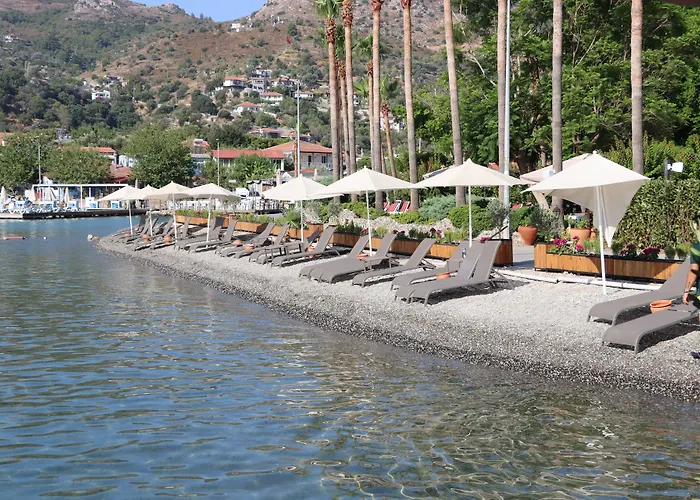 Palmetto Ξενοδοχείο 2*